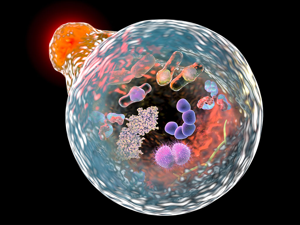 Cell Recycling Renews Hope in Treating ALS