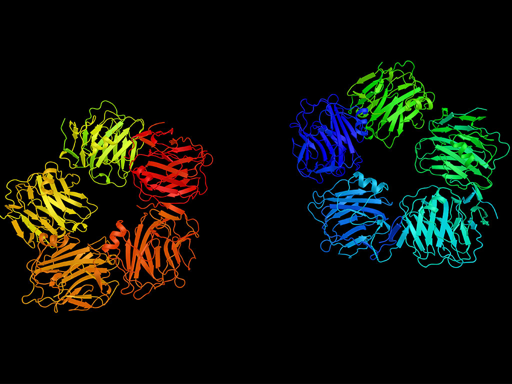 New ALS Therapy Developed Uses C - Reactive Protein for Diagnosis