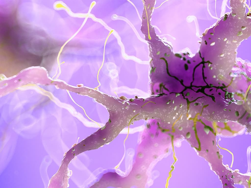 ALS and nerve damage