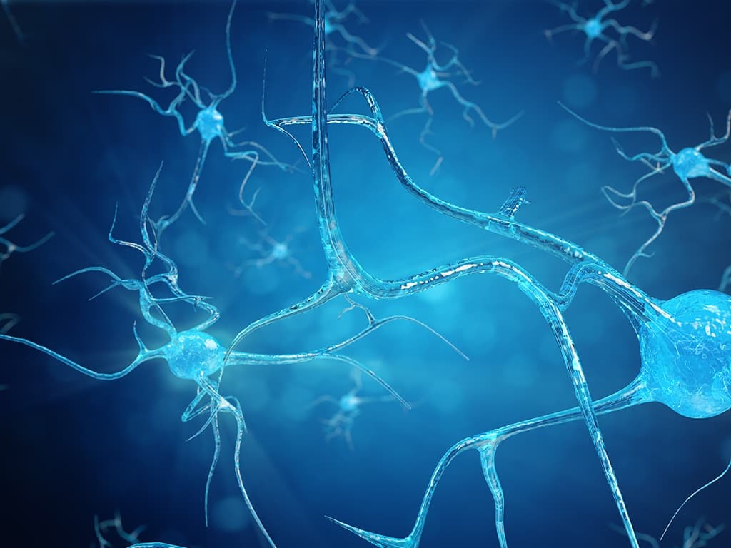 Motor neuron ALS